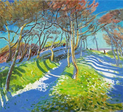 Letzter Schnee, Ladmanlow, 2015 von Andrew Macara